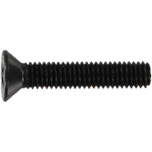 Standard Phillips Bolt 1" Black