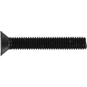 Standard Phillips Bolt 1-1/4" Black
