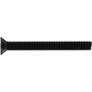 Standard Phillips Bolt 1-3/4" Black