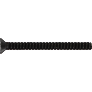 Standard Phillips Bolt 2" Black