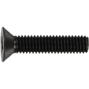 Standard Phillips Bolt 7/8" Black