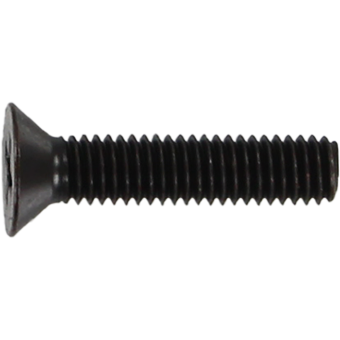 Standard Phillips Bolt 7/8" Black